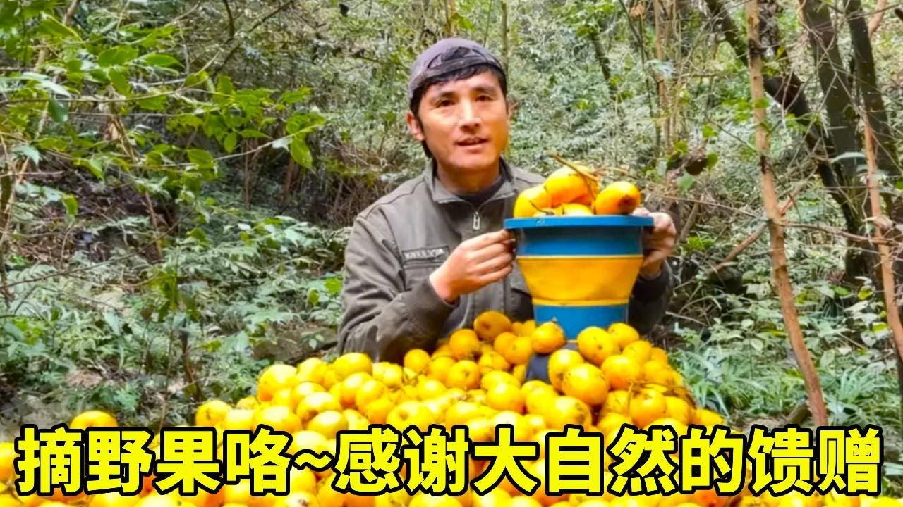 摘野果咯~能吃多少摘多少，感谢大自然的馈赠！与大自然和睦共生~【乡野志刚】