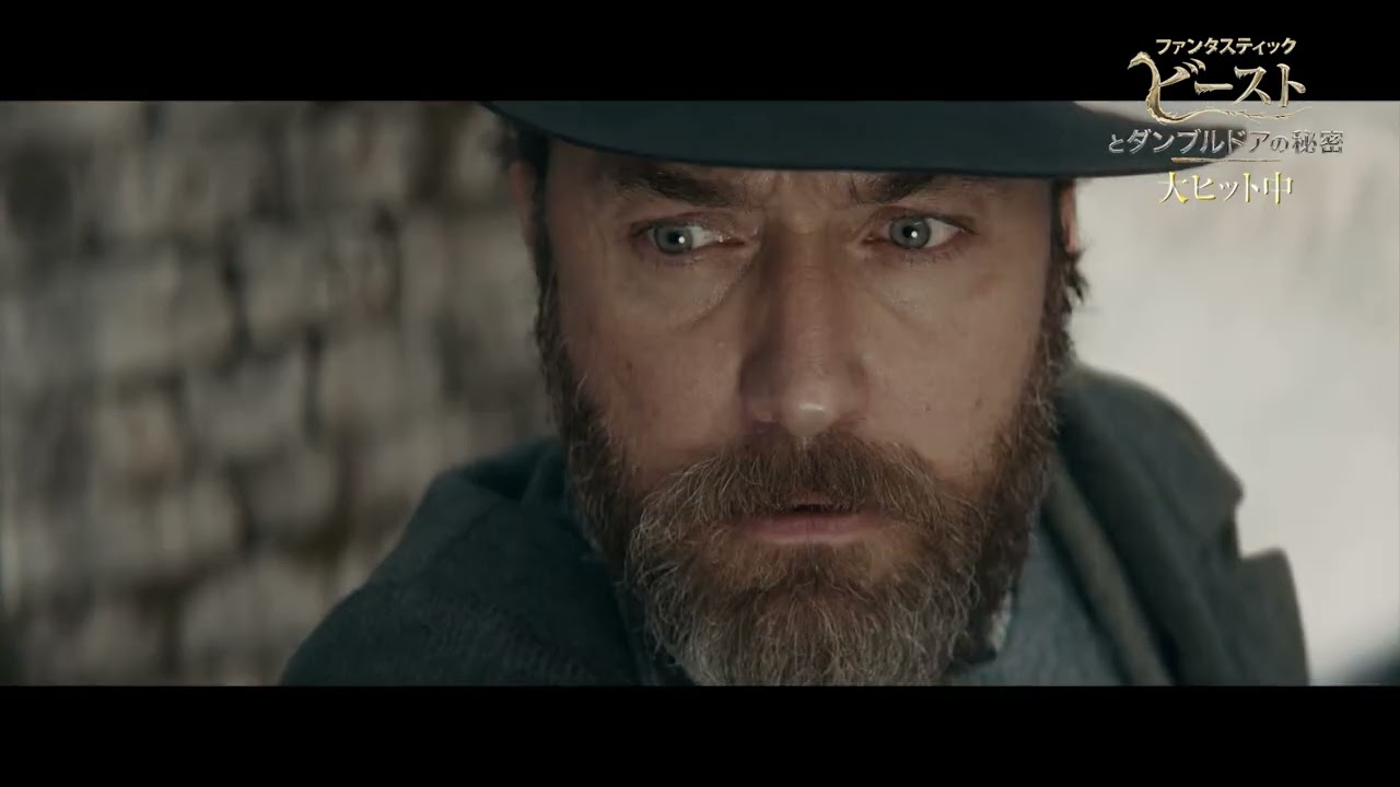 映画『ファンタスティック・ビーストとダンブルドアの秘密』特別映像（グリンデルバルド編） 大ヒット上映中！
