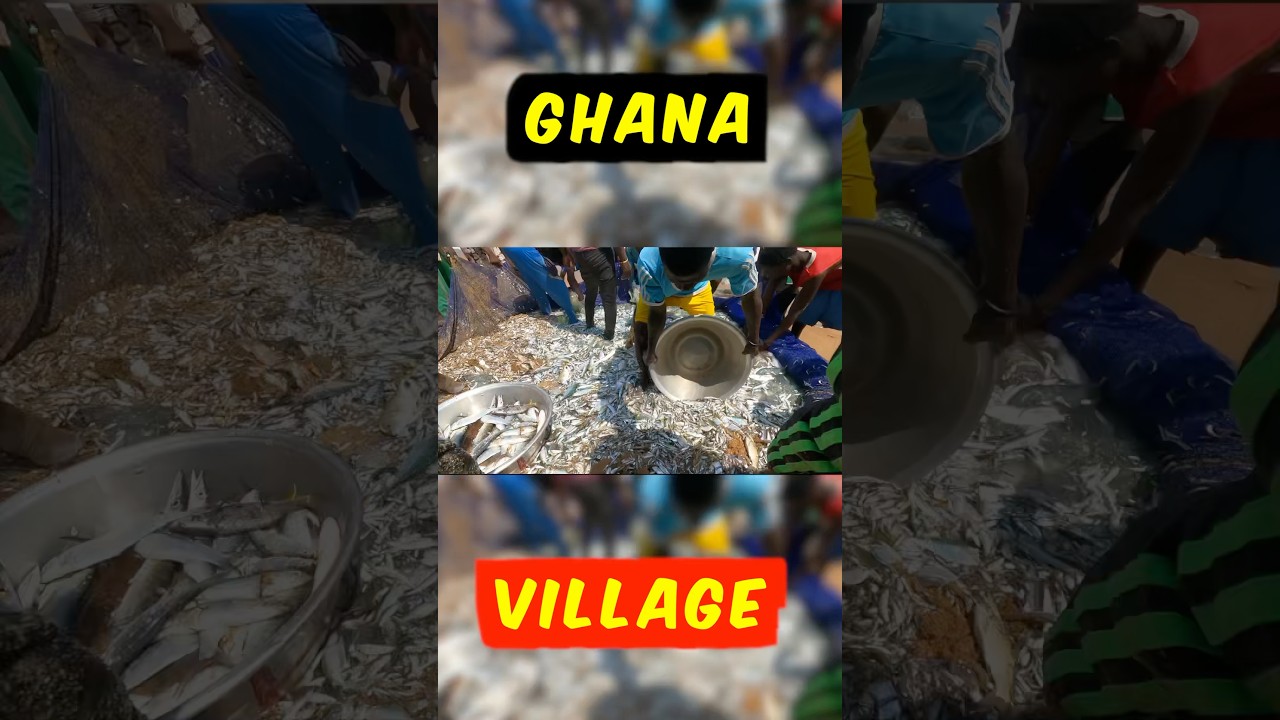 This Ghana Village Food Is so Appetizing #ewefood #voltaregion