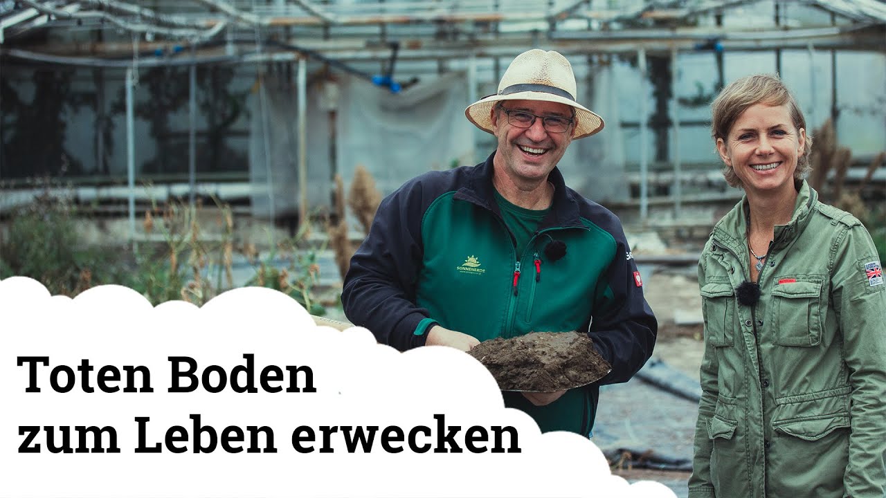 Toter Boden I | Wie wird er wieder lebendig 🌱