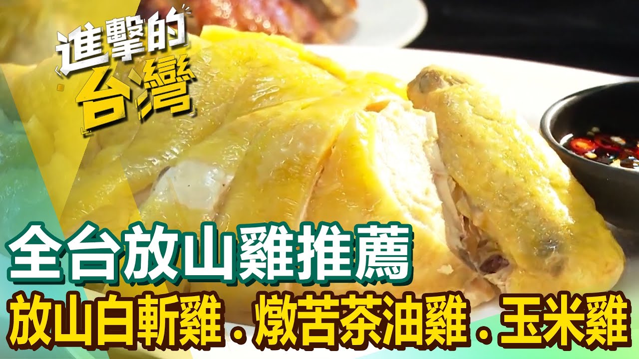【全台放山雞推薦】放山白斬雞/限量脆皮烤雞/三杯茶葉雞/燉苦茶油雞/放山玉米雞/白斬土雞【進擊的台灣】@進擊的台灣