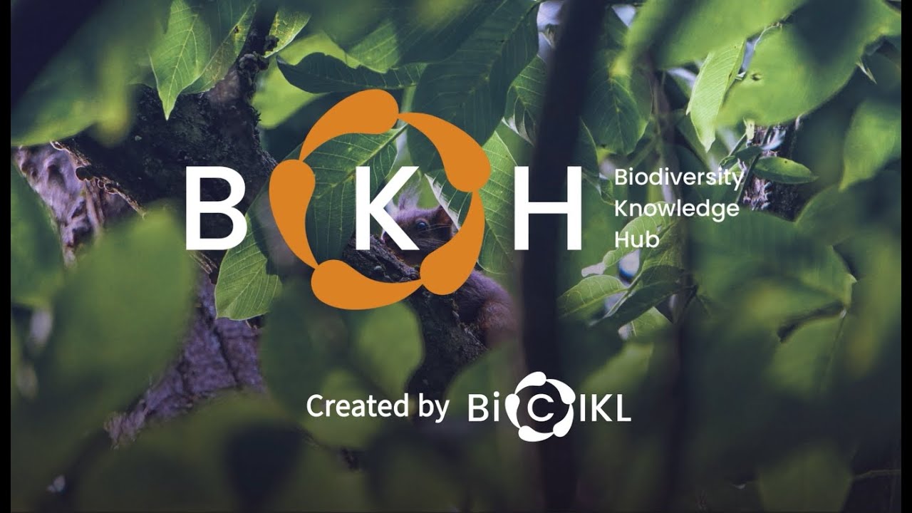 Biodiversity Knowledge Hub (BKH)