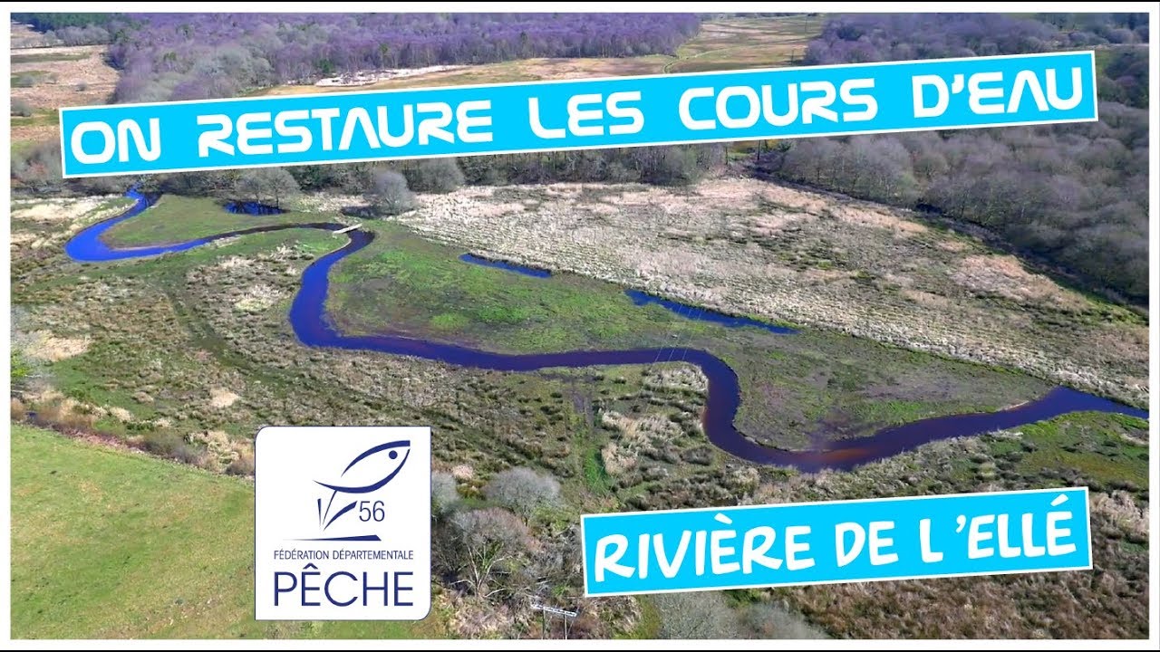 ON RESTAURE LES RIVIÈRES ! - FEDERATION DE PÊCHE DU MORBIHAN