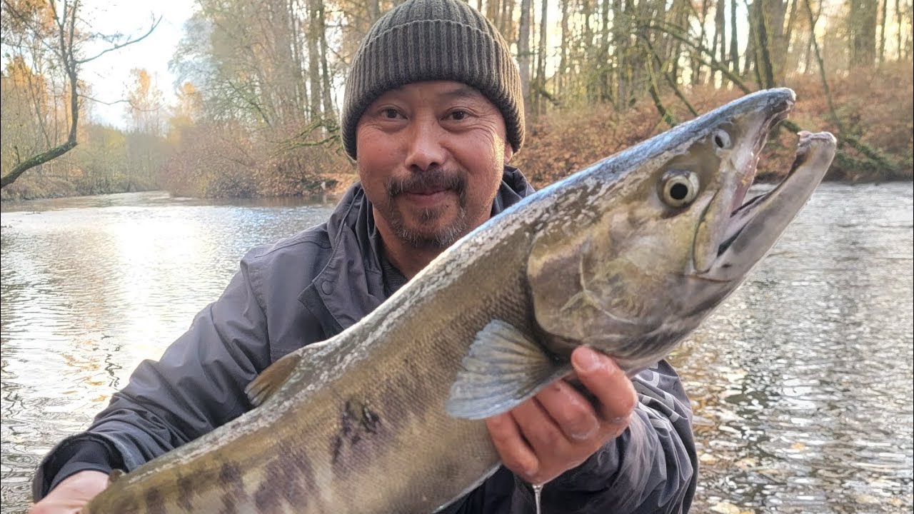 Late November Chum Fishing at the Green River