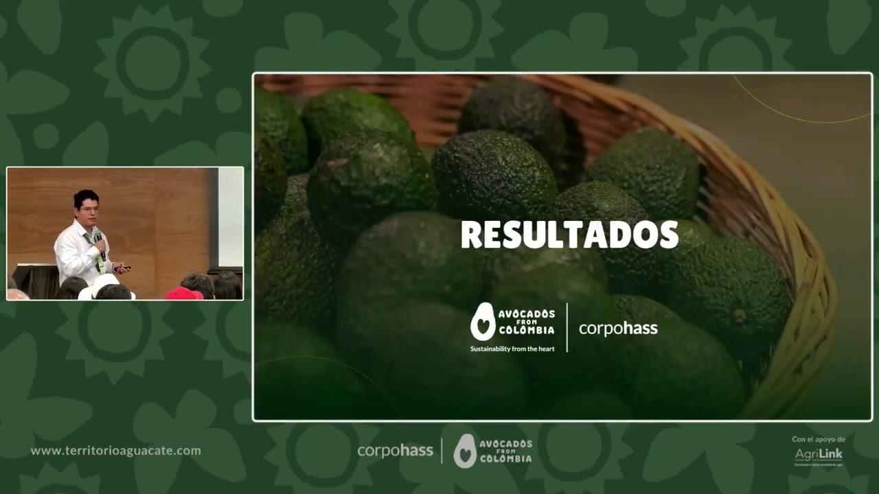 Cadmio en suelos y aguacate Hass  avances, insumos y estrategias de mitigación