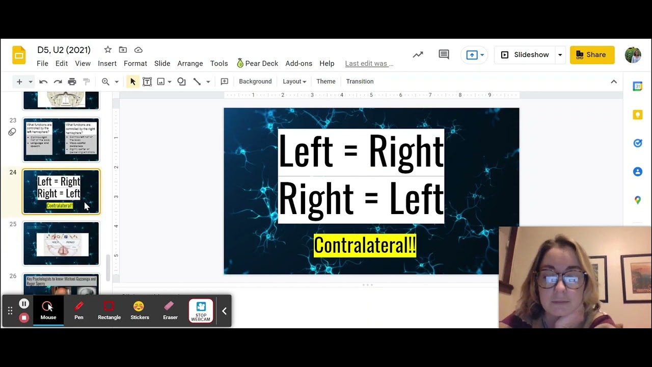 D5,U2: Hemispheric Lateralization and Split Brain Research