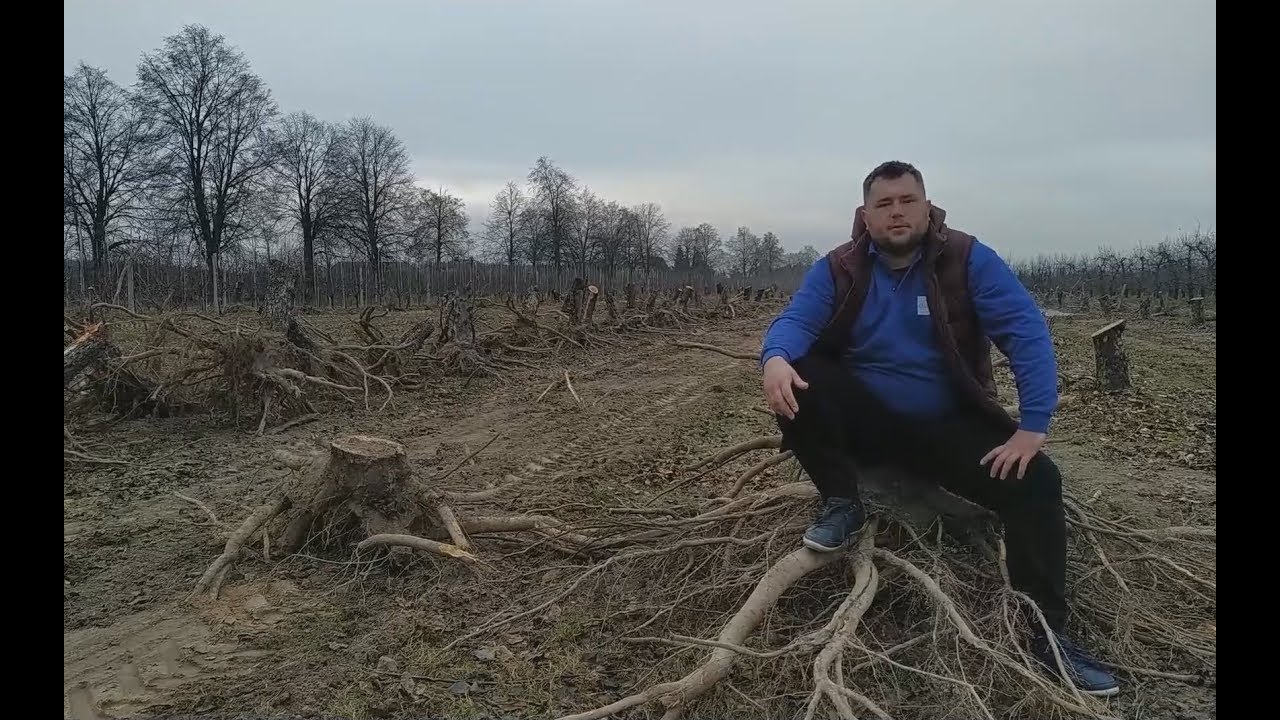 Samodzielne karczowanie sadu - opłaca się czy nie?