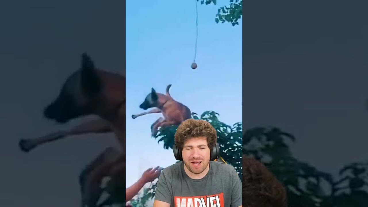 EL PERRO QUE VUELA!! 😱🐶 v&iacute;deo reacci&oacute;n #Mikecrack #Shorts