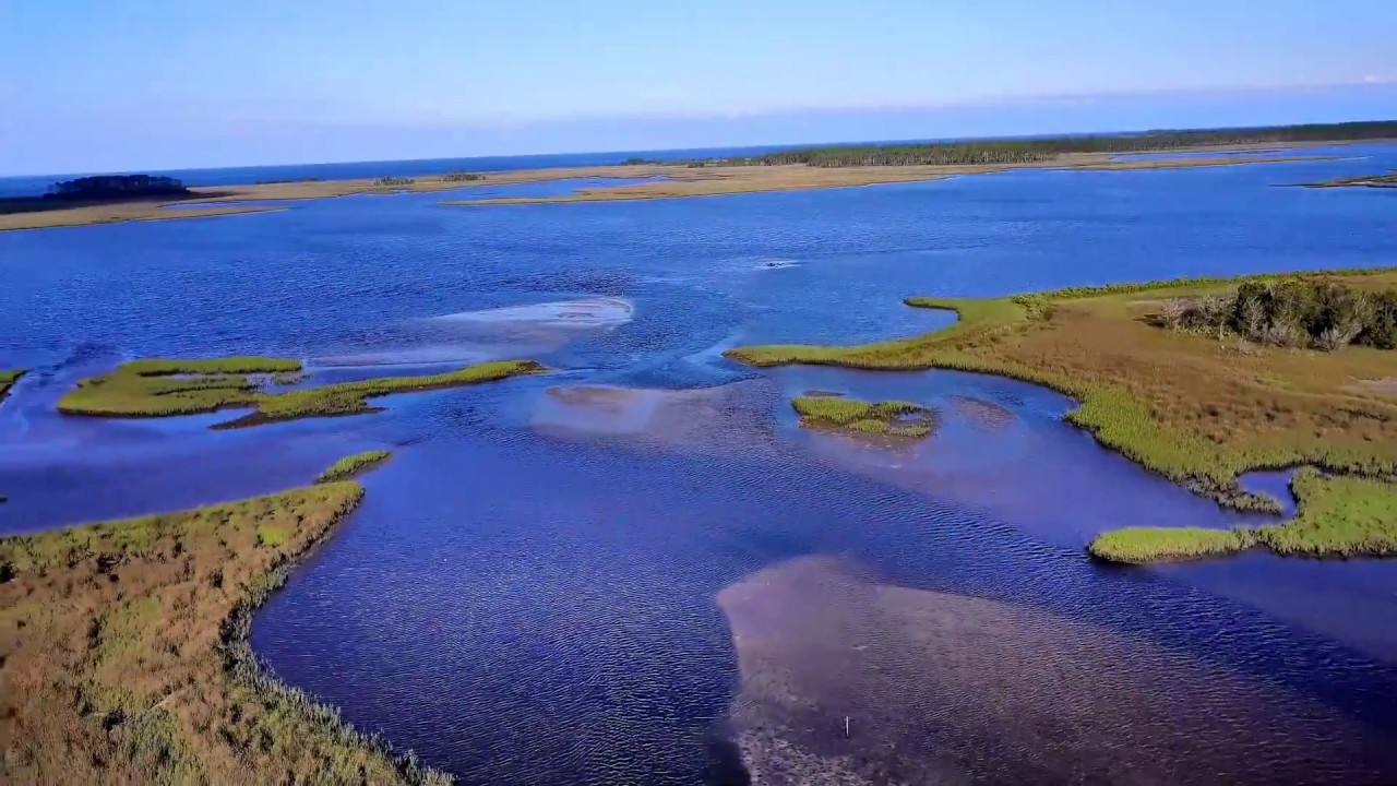 Leavy Bay, Panacea Florida
