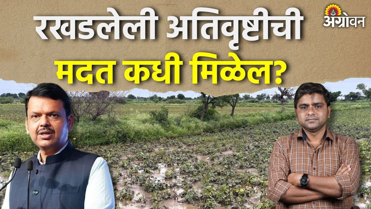 Ativrushti Madat: नेमकी कोणत्या शेतकऱ्यांची अतिवृष्टीची मदत रखडली? | Agrowon