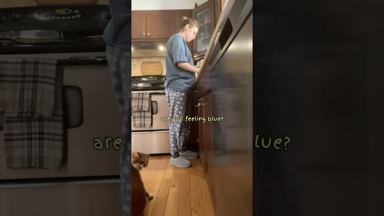 Bean thinks I gave birth to him first&hellip; #catmom #funny #pregnant