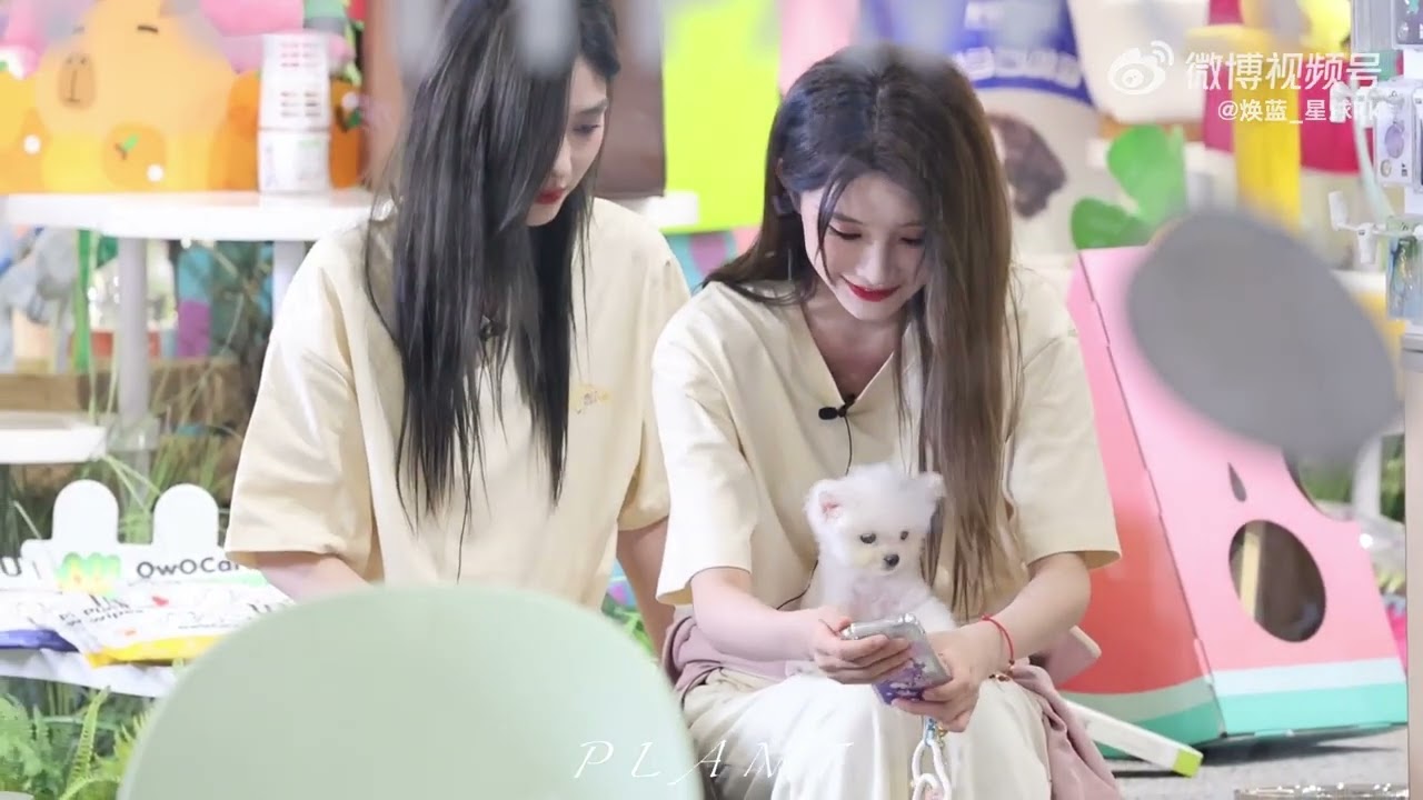 SQHY clingy cute moments (29.10.24)