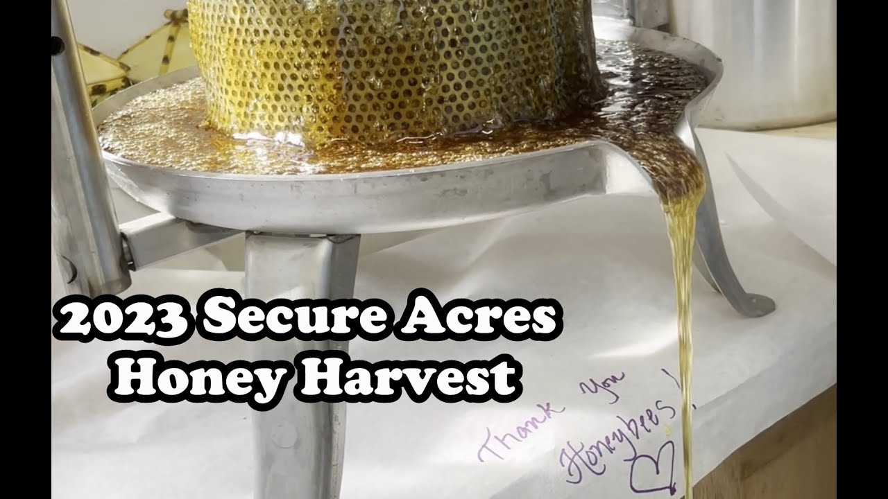 2023 Natural Honey Extraction with Italian Honey Press