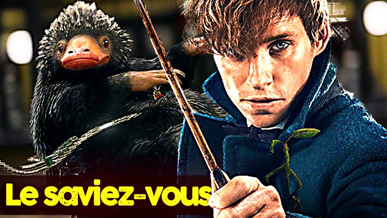 LES ANIMAUX FANTASTIQUES - 15 Trucs à Savoir !