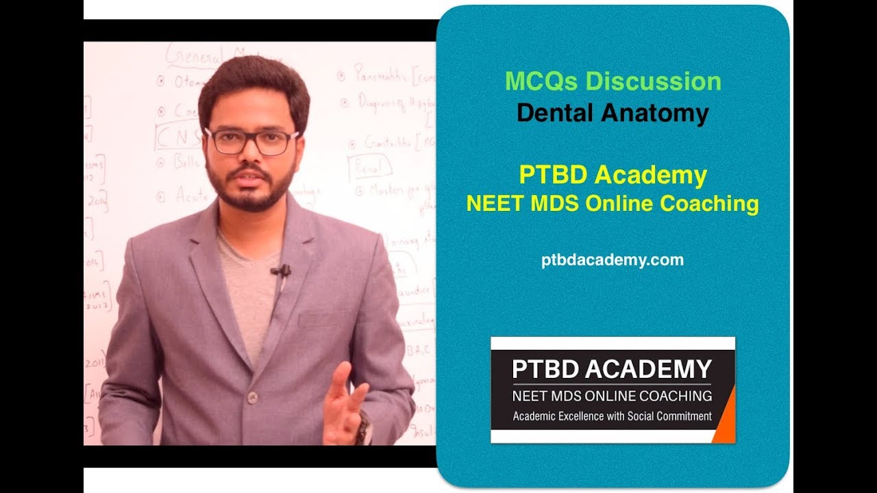 Rule of 4 | Muscles of Mastication | Dental Anatomy