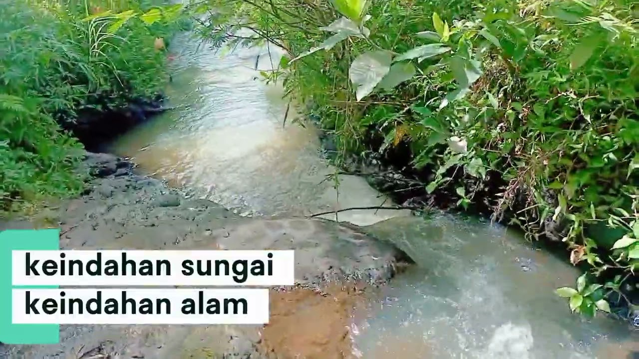 Sawah Menanti Musim Tanam | Alunan Sungai Kecil yang Menenangkan #pemandangan 