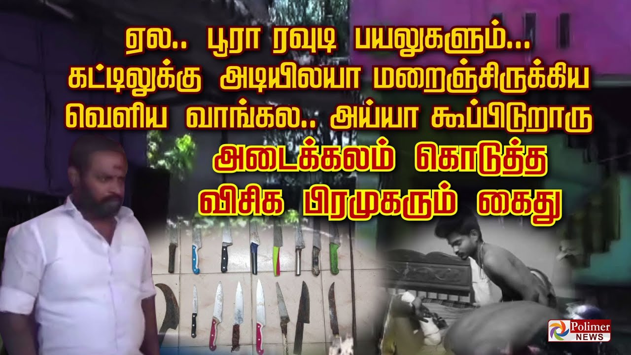 ஏல.. பூரா ரவுடி பயலுகளும்... கட்டிலுக்கு அடியிலயா மறைஞ்சிருக்கிய ? வெளிய வாங்கல..அய்யா கூப்பிடுறாரு!