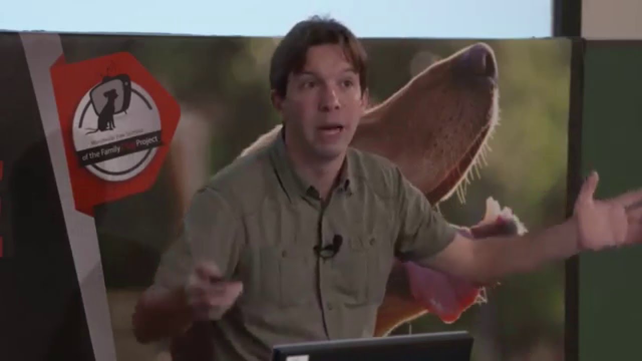 Attila Andics, PhD: How does dog brain process stress?