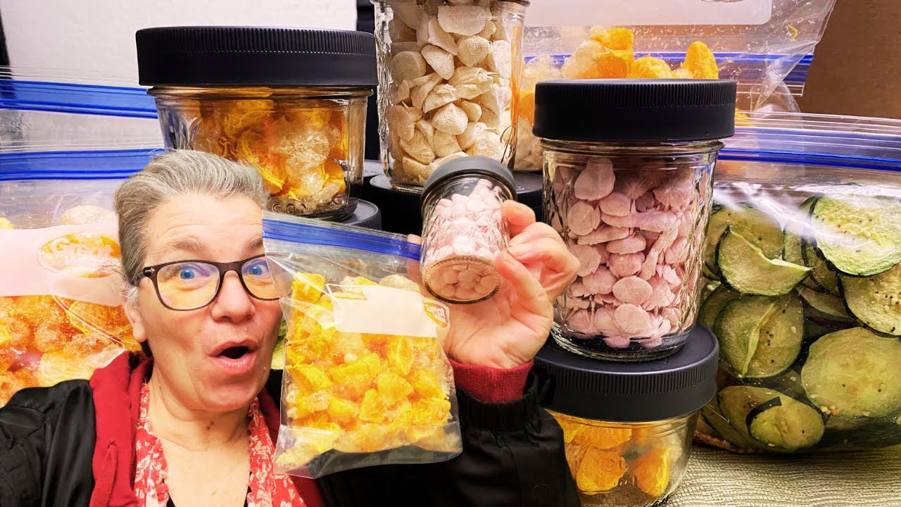 4 Healthy Freeze Dried Snacks