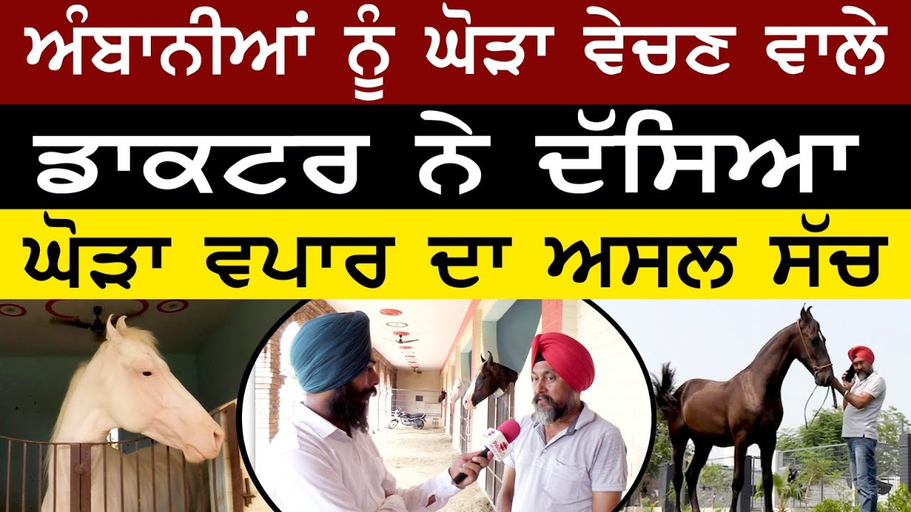 Prime Report (1026) || ਅੰਬਾਨੀਆਂ ਨੂੰ ਘੋੜਾ ਵੇਚਣ ਵਾਲੇ ਡਾਕਟਰ ਨੇ ਦੱਸਿਆ ਘੋੜਾ ਵਪਾਰ ਦਾ ਅਸਲ ਸੱਚ