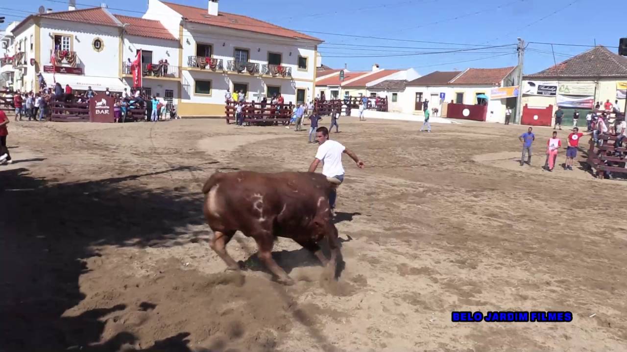 10:00 ENTRADA DE TOIROS SEGUNDA FEIRA DIA 22 DE AGOSTO 2016