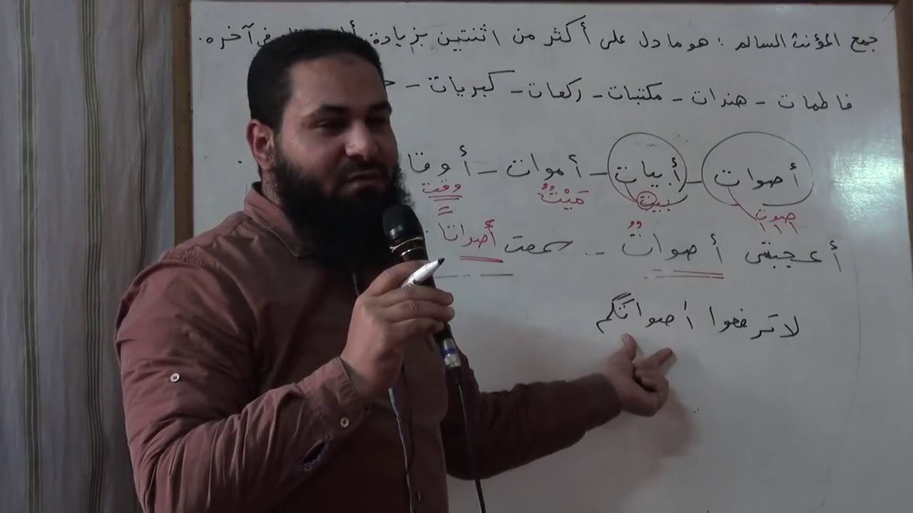 جمع المؤنث السالم بطريقة رائعة