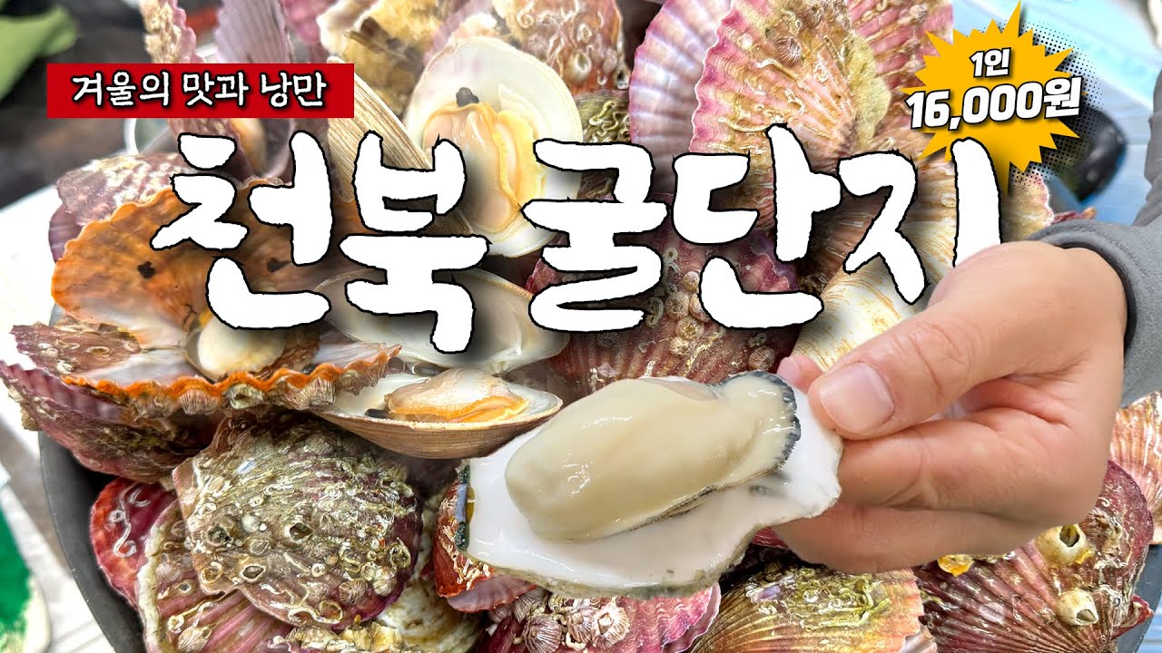입맛을 깨우는 특별한 여행, 천북 굴단지 - 여기로 가세요!