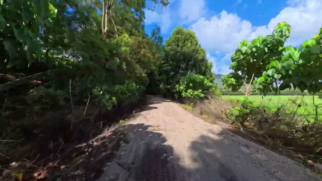 Pure Path: Rail Trail Cycling (POV)