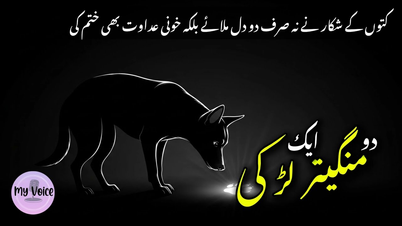 Do Mangaitar Aik Larki | Do Mangetar Ek Larki | Urdu Suspense Story by Sabir Hussain Rajpoot