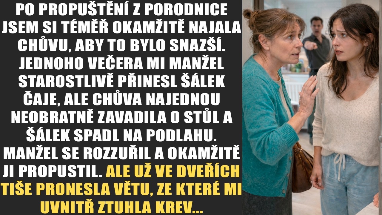 Po propuštění z porodnice jsem si téměř okamžitě najala chůvu, aby to bylo snazší. Jednoho večera mi