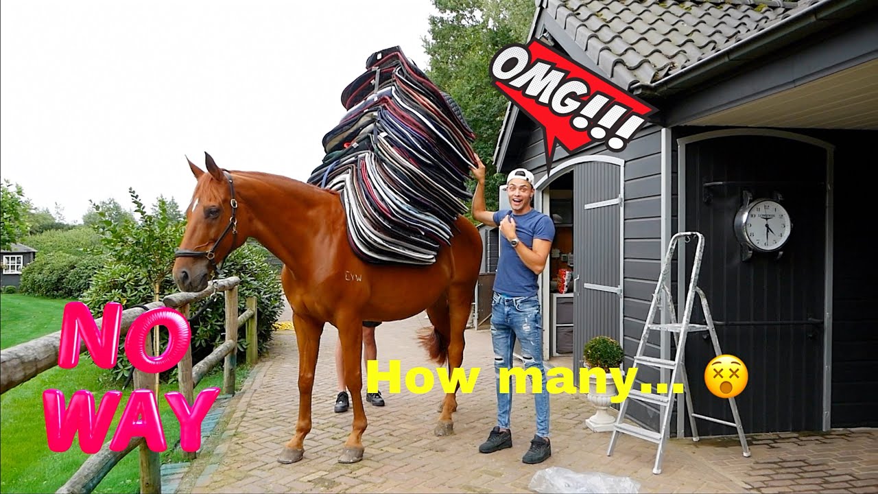 PUTTING EVERY SINGLE SADDLE CLOTH I OWN ON MY HORSE
