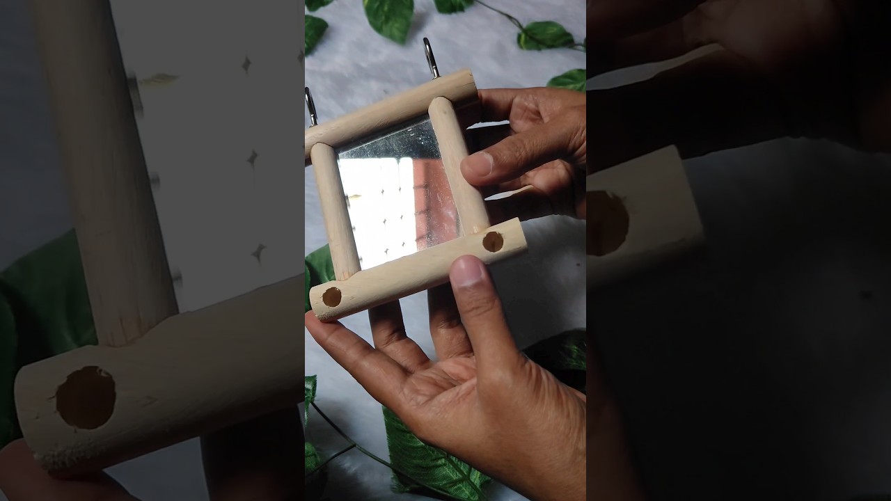 Bird Accessories/Pet Bird Cage Toys #shorts #viral #trending #pets #birdlovers  @jafrinanjum2022