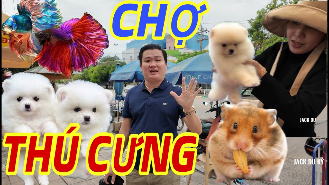 Đột nhập chợ Th&uacute; cưng lớn nhất Th&aacute;i Lan II chợ sỉ lớn nhất thế giới ||chattuchak #jackduky