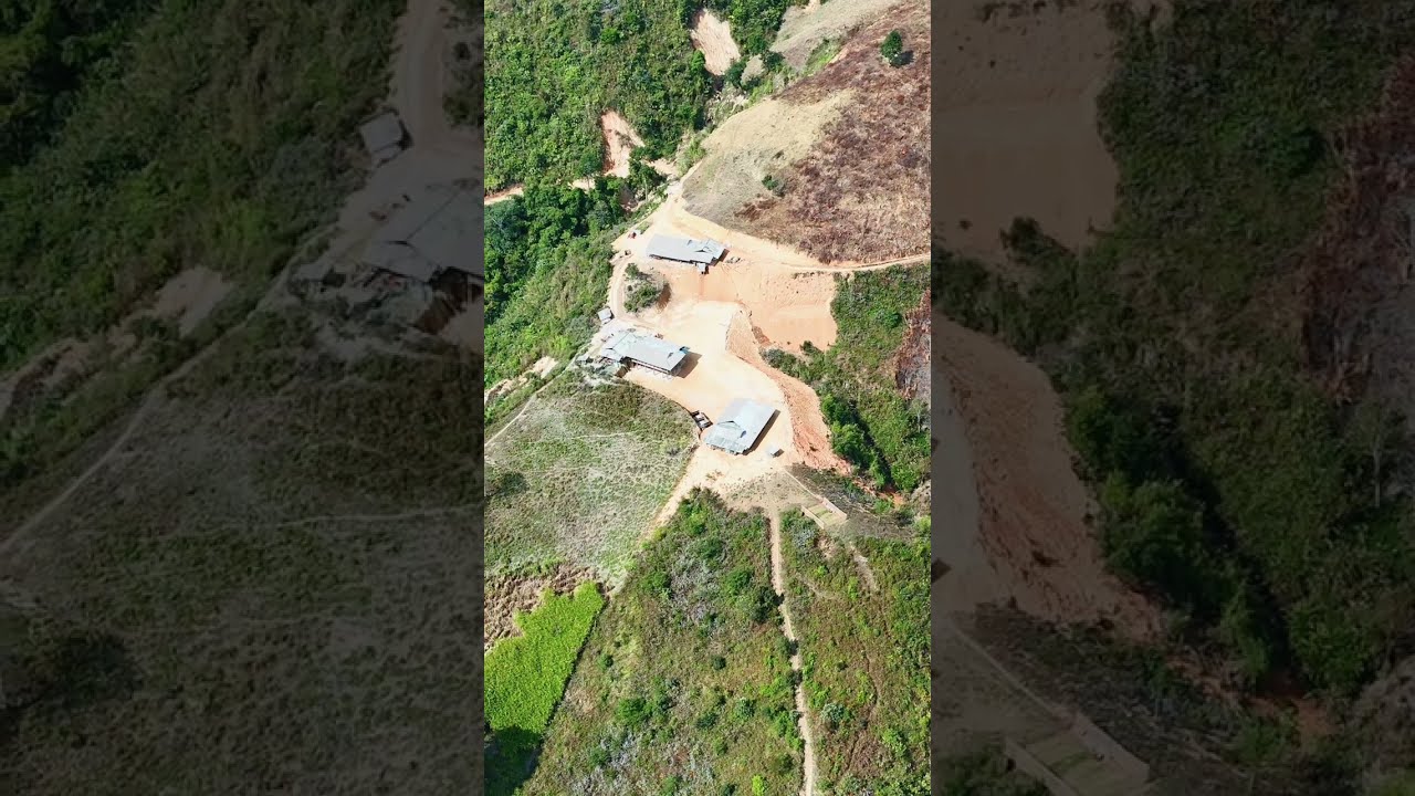 Zos pov thoov - đứa mòn song mã 2026