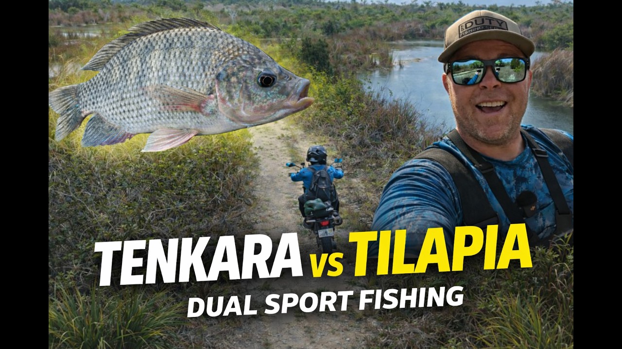 Tenkara Fishing for Florida Tilapia from My Dual Sport