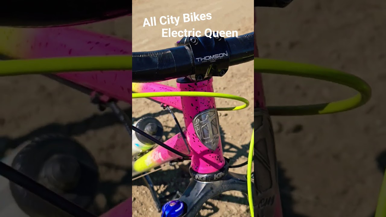 Hardtail MTB plus size tires.