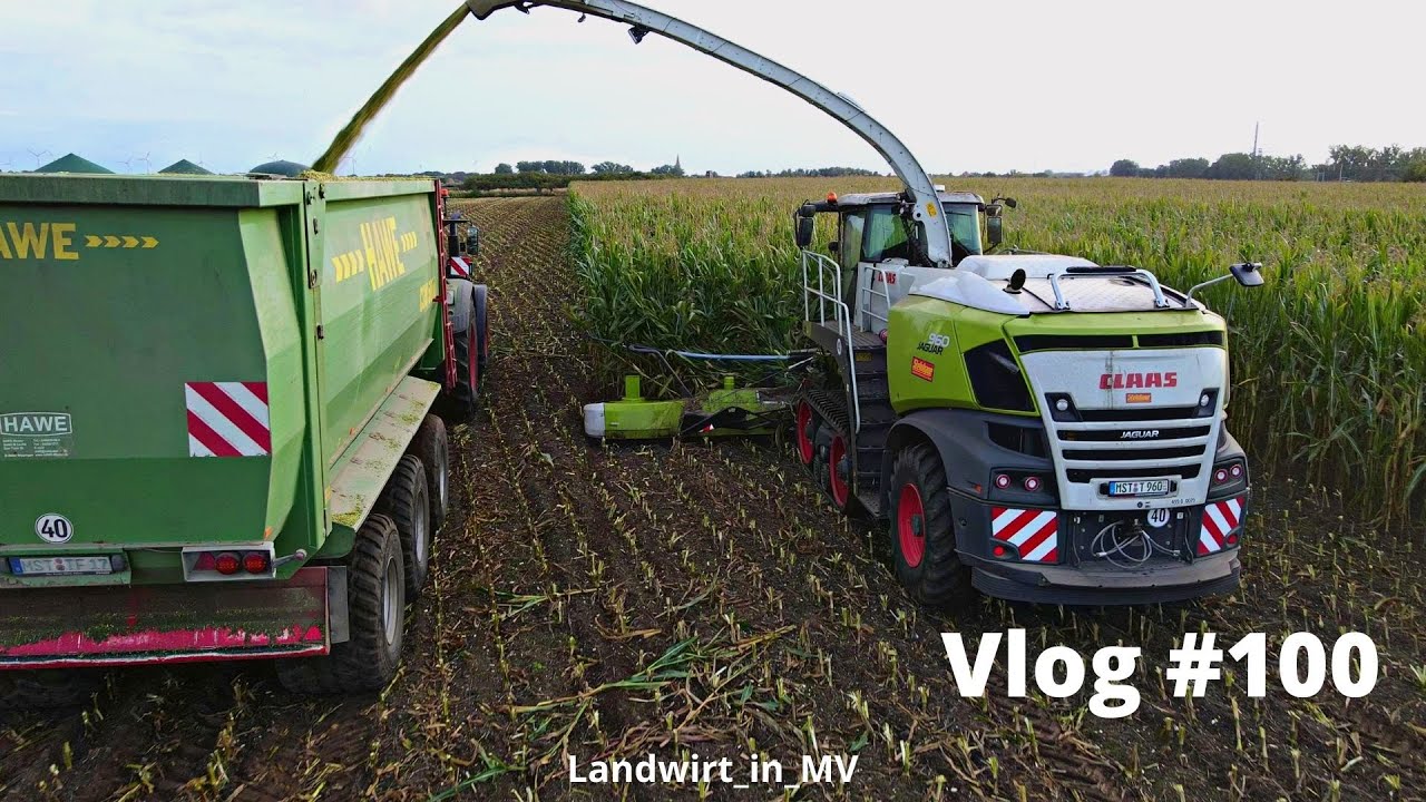 Vlog #100 Jetzts gehts bei uns los! Direkt mit dem Mais-Bohnen-Gemenge! #Maisfieber