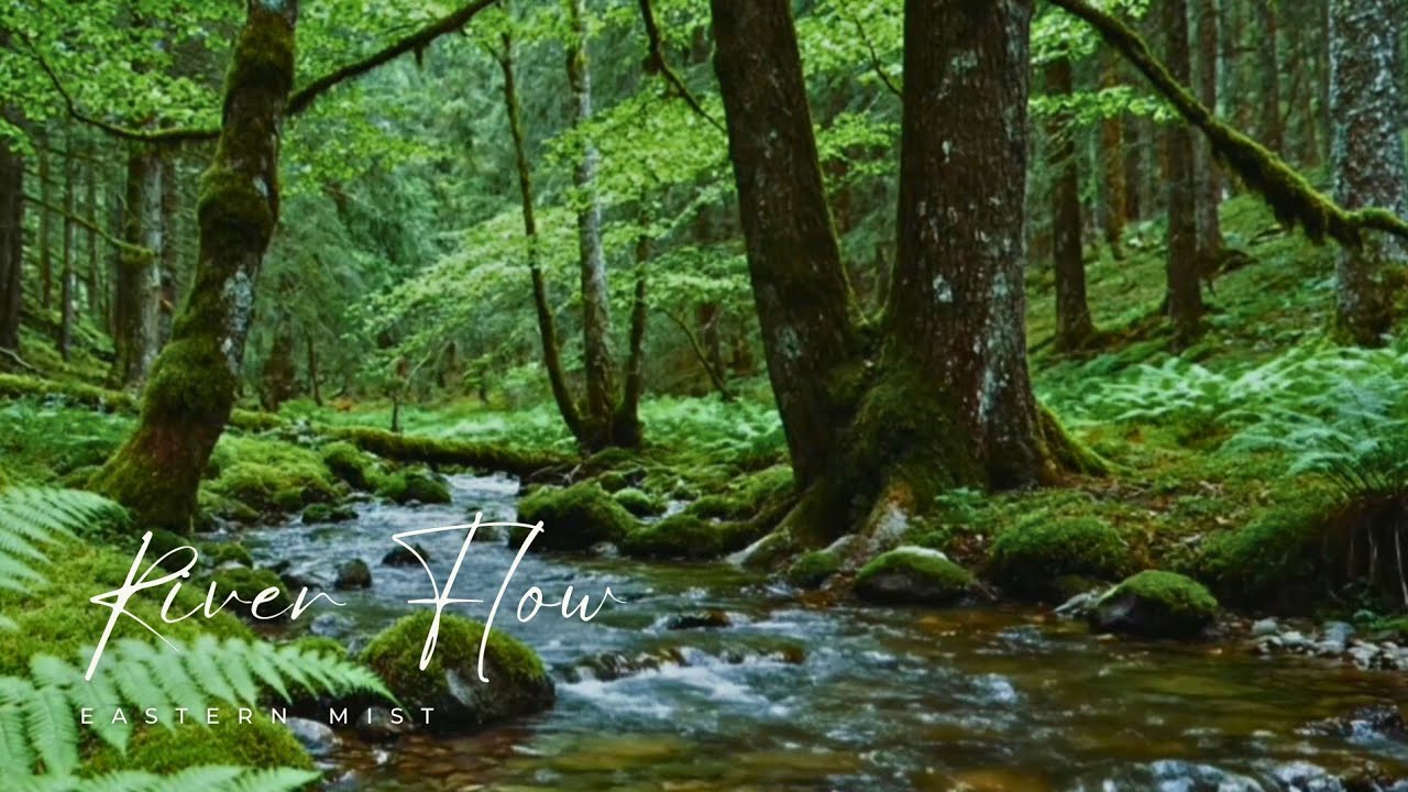 Gentle River Flow in a Lush Forest | Natural ASMR for Deep Focus & Calm