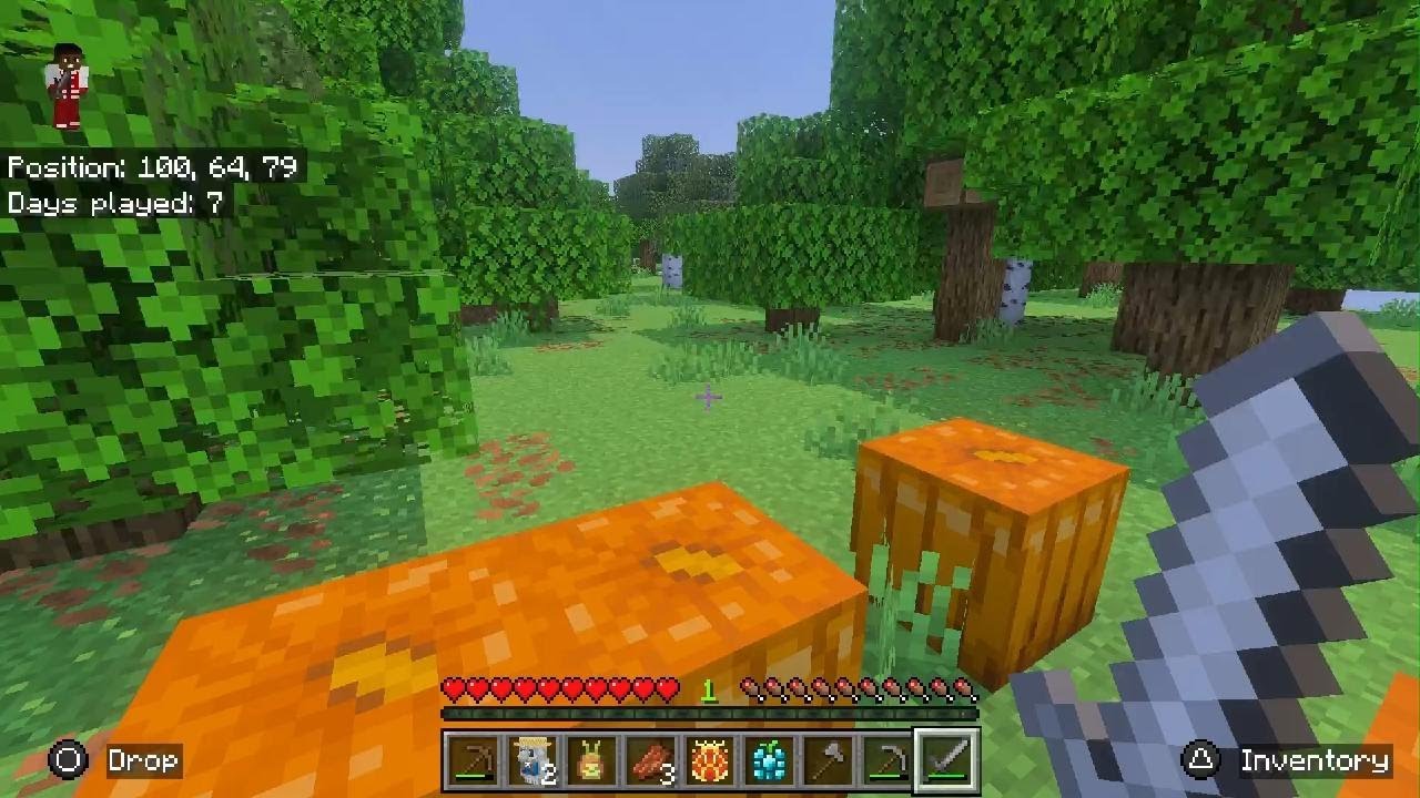 Minecraft_20260120172848