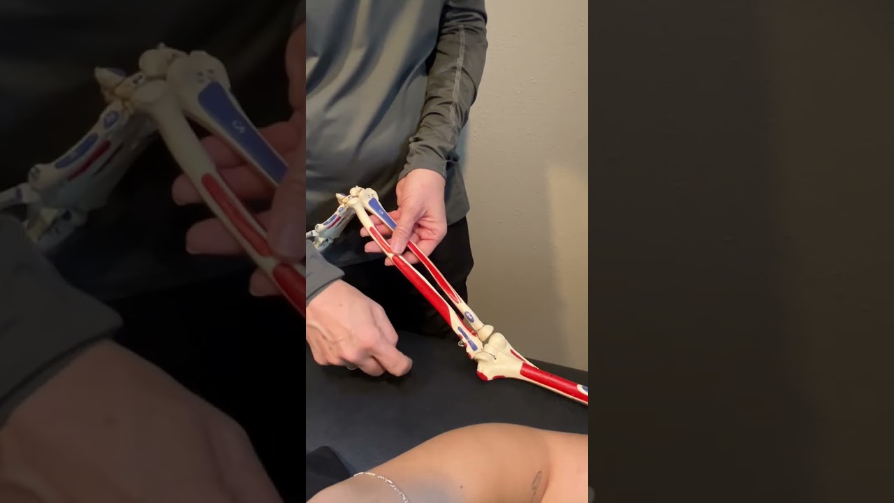 Radio ulnar mobilization