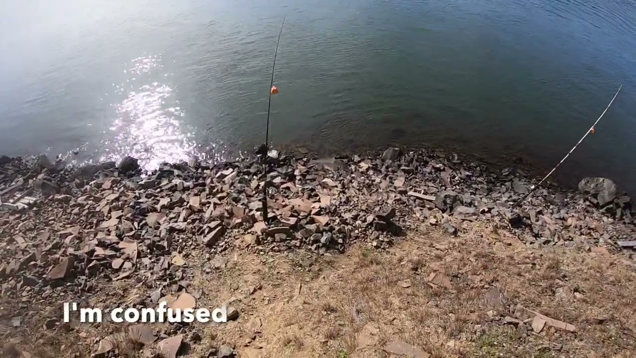 Plunking with Tuna Balls