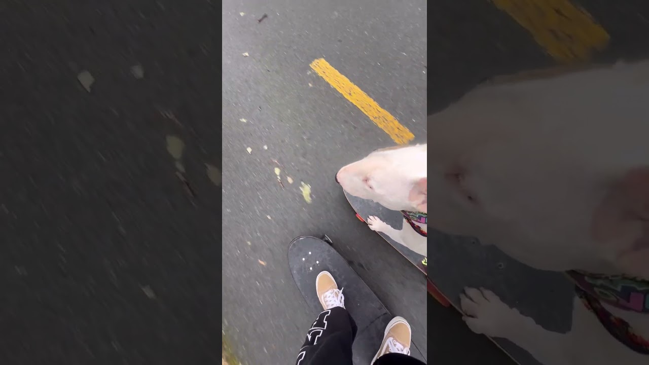 One of my favorite things to do is skateboard together 🫶🏻 