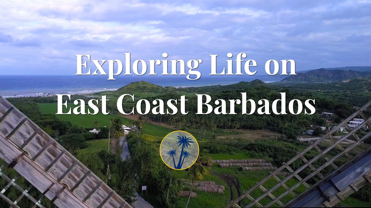 ☀️ Moving to Barbados? Discover Life on the East Coast | Nature, Surf & Serenity 🌴