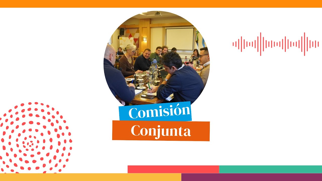 Comisión Conjunta de Gobierno con Economía 12/12/25