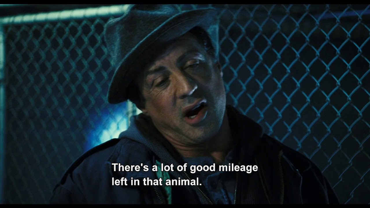 Rocky Balboa - Rocky Adopts a New Dog