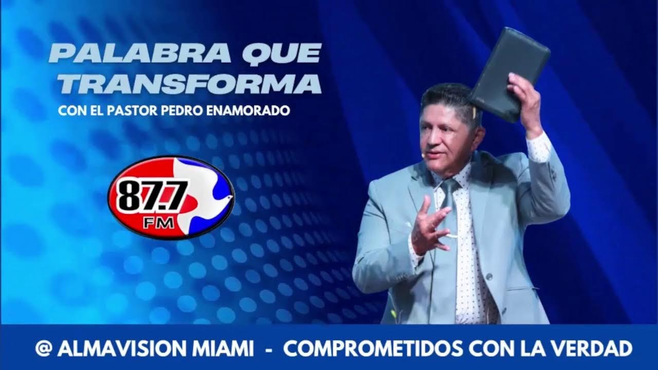 ALMAVISION MIAMI LIVE