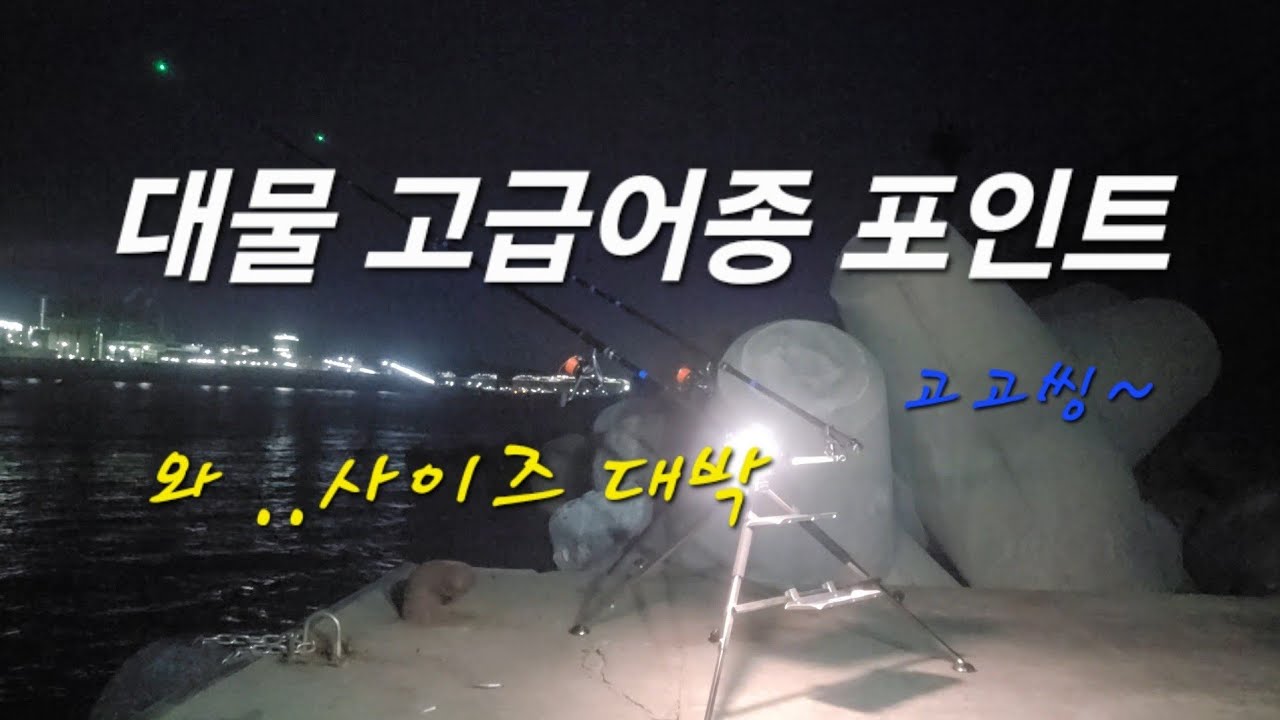 싯가 고급어종을 낚을수있는 포인트 !! 시즌은 시작됐다 ! #원투낚시 #도다리 #참가자미 #생활낚시#초보낚시 #삼척 #동해