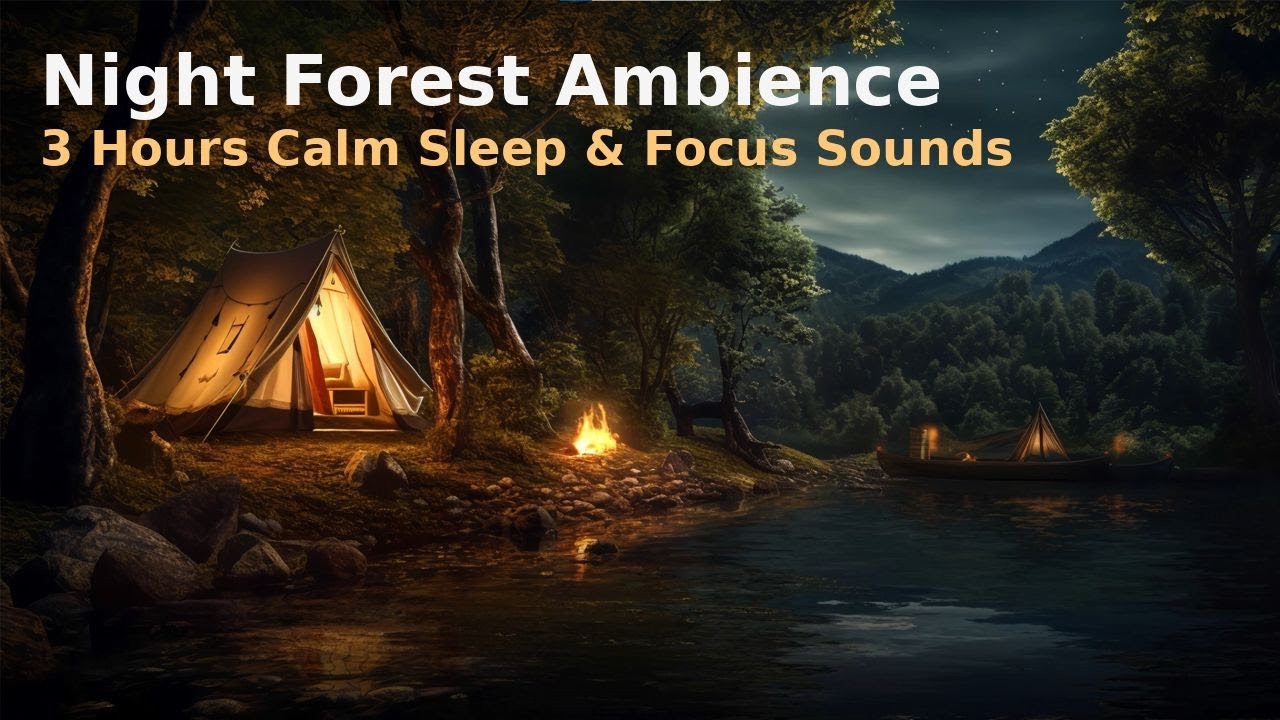 Night Forest Ambience Sounds – 3 Hours Calm Sleep & Focus