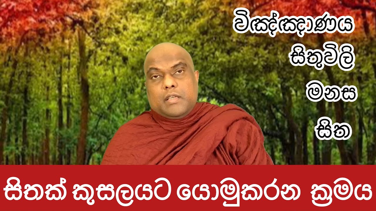 සිත. විඤ්ඤාණය. මනස කුසල් අකුසල් තුළ හැසිරෙන ආකාරය Galigamuwe Gnanadeepa Thero - Buddhism