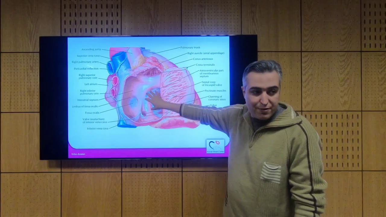 Cardiac Anatomy for Echocardiographers - Hatem Hosny